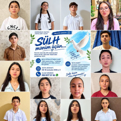 Sabirabad rayonunda “Sülh aylığı” çərçivəsində silsilə tədbirlər keçirilib