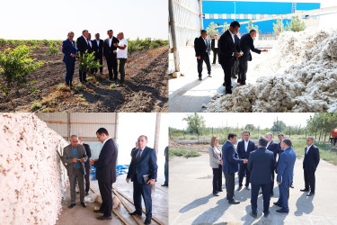 Sabirabad rayonunda “Azərbaycan Respublikasında kənd təsərrüfatı, balıqçılıq və akvakultura məhsullarının istehsalı və emalı sahələrinin inkişafına dair 2026–2030-cu illər üçün Dövlət Proqramı” çərçivəsində görülən işlər və qarşıda duran vəzifələr müzakirə olunub