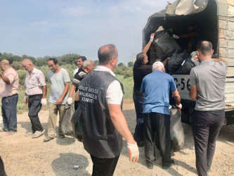 Sabirabadda Kür çayının sahilində “Konstitusiya və Suverenlik İli” çərçivəsində iməcilik aksiyası keçirilib