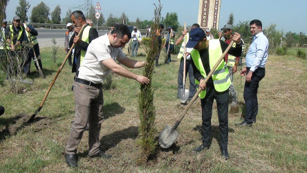 "Yaşıl dünya naminə həmrəylik ili” çərçivəsində Sabirabadda ümumrayon iməcliyi keçirilmişdir