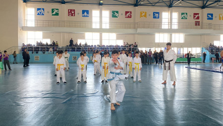 Sabirabad rayonunda “8 Noyabr – Zəfər Günü”nə həsr olunmuş XXXII ənənəvi ölkə Spartakiadasının final mərhələsi keçirilib