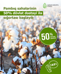 Fermerlərin nəzərinə: Pambıq sahələrinin sığortalanması prosesinə start verilir