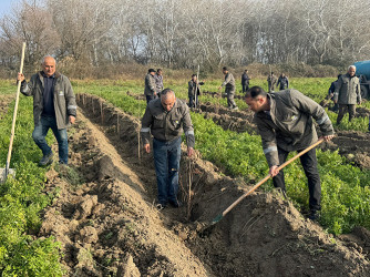 Sabirabad rayonunda “Yaşıl dünya naminə həmrəylik ili” çərçivəsində ağac-kol tinginin əkilməsi və qiymətli meşə cinslərinə aid toxumların səpilməsi həyata keçirilmişdir