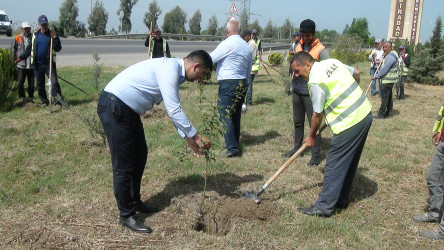 "Yaşıl dünya naminə həmrəylik ili” çərçivəsində Sabirabadda ümumrayon iməcliyi keçirilmişdir