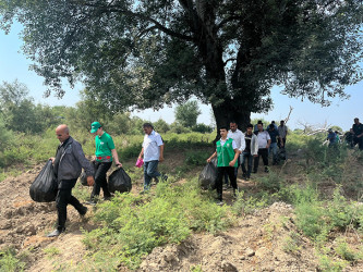 Sabirabadda “Təmiz ölkəm” aksiyası çərçivəsində Kür çayının sahilində iməcilik keçirilib