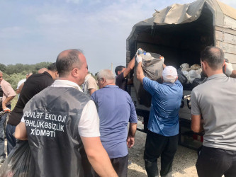 Sabirabadda Kür çayının sahilində “Konstitusiya və Suverenlik İli” çərçivəsində iməcilik aksiyası keçirilib