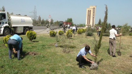 "Yaşıl dünya naminə həmrəylik ili” çərçivəsində Sabirabadda ümumrayon iməcliyi keçirilmişdir