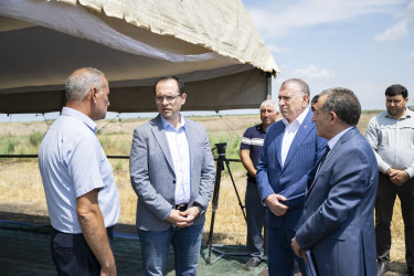 Sabirabad rayonunda Kənd təsərrüfatı naziri Məcnun Məmmədov taxıl biçinində iştirak edib, fermerlərlə görüşüb