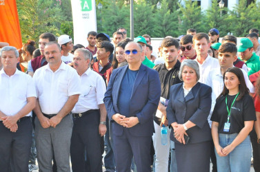 Sabirabad rayonunda “BİRLİK” Regional Festivalı keçirilib