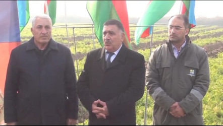 Sabirabad rayonunda “Yaşıl dünya naminə həmrəylik ili” çərçivəsində ağac-kol tinginin əkilməsi və qiymətli meşə cinslərinə aid toxumların səpilməsi həyata keçirilmişdir
