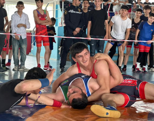 "Konstitusiya və Suverenlik İli" çərçivəsində Sabirabadda sərbəst güləş üzrə açıq rayon birinciliyi keçirilib