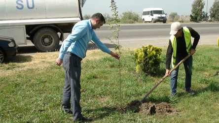 "Yaşıl dünya naminə həmrəylik ili” çərçivəsində Sabirabadda ümumrayon iməcliyi keçirilmişdir