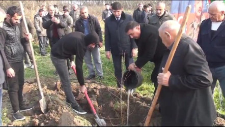 Sabirabad rayonunda “Yaşıl dünya naminə həmrəylik ili” çərçivəsində ağac-kol tinginin əkilməsi və qiymətli meşə cinslərinə aid toxumların səpilməsi həyata keçirilmişdir