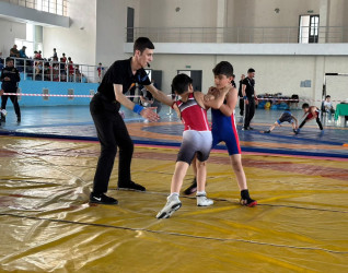 "Konstitusiya və Suverenlik İli" çərçivəsində Sabirabadda sərbəst güləş üzrə açıq rayon birinciliyi keçirilib