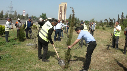 "Yaşıl dünya naminə həmrəylik ili” çərçivəsində Sabirabadda ümumrayon iməcliyi keçirilmişdir