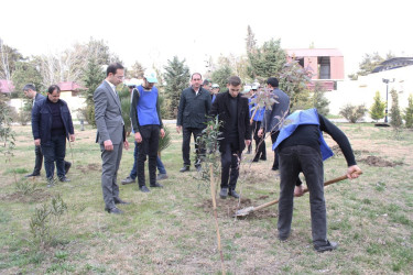 Sabirabadda Ümummilli Lider Heydər Əliyevin anadan olmasının 100 illiyi münasibətilə ağacəkmə aksiyası davam etdirilir