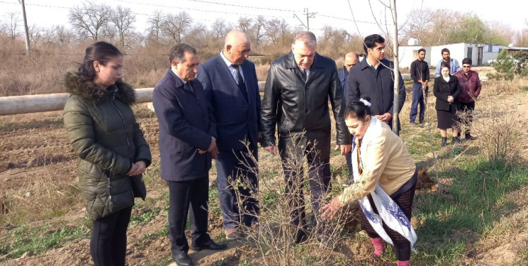 Sabirabadda Ümummilli Lider Heydər Əliyevin 100 illiyinə həsr olunmuş ağacəkmə aksiyası davam edir