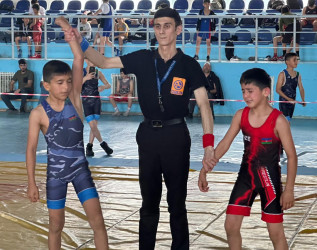 "Konstitusiya və Suverenlik İli" çərçivəsində Sabirabadda sərbəst güləş üzrə açıq rayon birinciliyi keçirilib