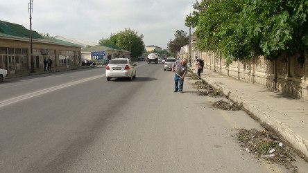 "Yaşıl dünya naminə həmrəylik ili” çərçivəsində Sabirabadda ümumrayon iməcliyi keçirilmişdir