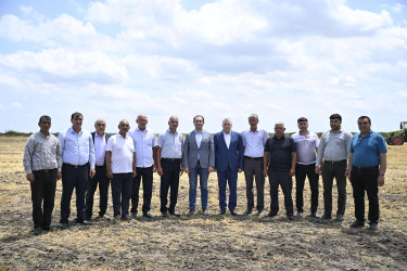 Sabirabad rayonunda Kənd təsərrüfatı naziri Məcnun Məmmədov taxıl biçinində iştirak edib, fermerlərlə görüşüb