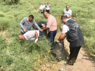 Sabirabadda Kür çayının sahilində “Konstitusiya və Suverenlik İli” çərçivəsində iməcilik aksiyası keçirilib