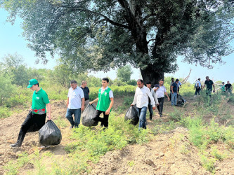 Sabirabadda “Təmiz ölkəm” aksiyası çərçivəsində Kür çayının sahilində iməcilik keçirilib